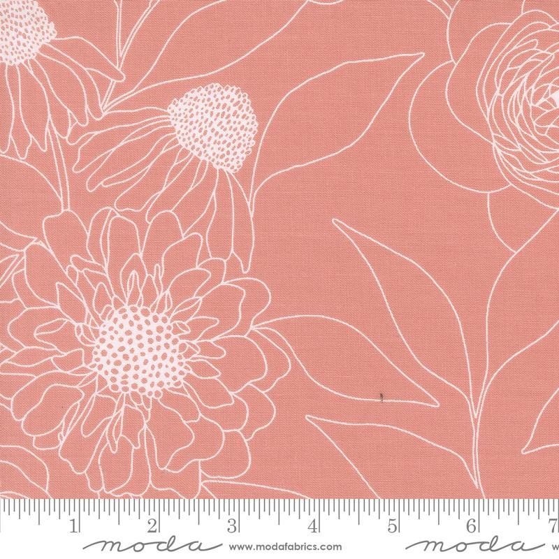 108" Botany - Camellia
