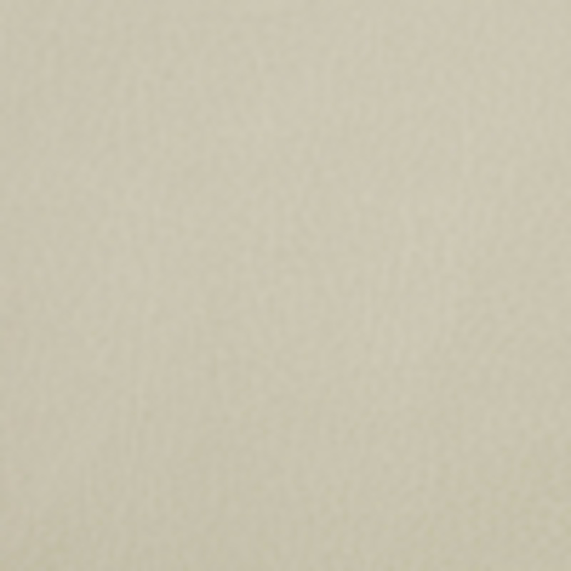 Beige Solid Pebbled Faux Leather