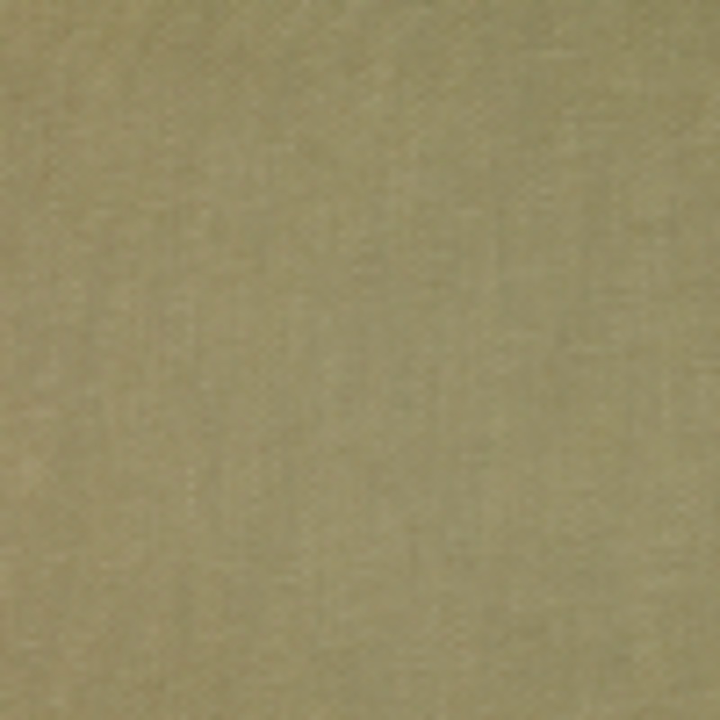 Bamboo Solid Canvas