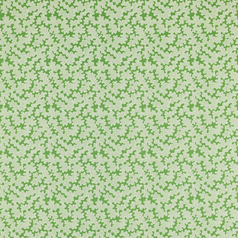 Zori Fabric